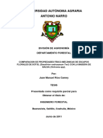 Universidad Autónoma Agraria Antonio Narro: División de Agronomía Departamento Forestal