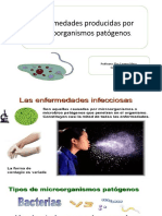 Microorganismos y Enfermedades 2