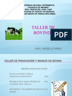 Taller de Bovinos Verano