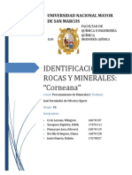 Informe Corneanas