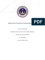 Ensayo Sobre La Relacion Entre La Identidad Cultural y El Fortalecimiento de La Pluriculturalidad de Nuestro País.