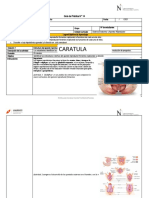 GUIA DE SESION 14 -  MORFO - 2