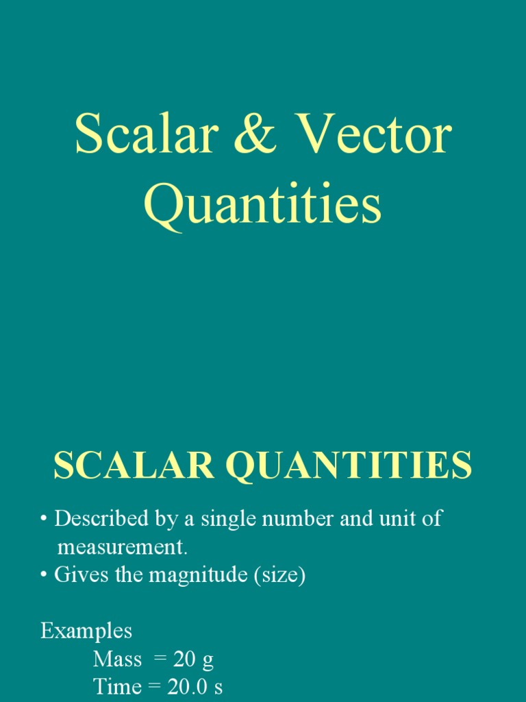 Scalar & Vector Quantities PDF Euclidean Vector Kilogram