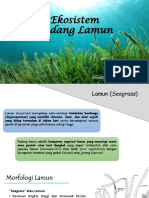 Ekosistem Padang Lamun Praktikum Biologi Laut-converted