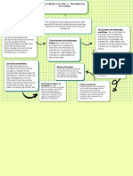 Mapa Conceptual Sencillo