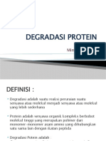 degradasi protein-Mimma amalia