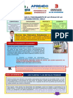 Actividad 08:: Explicamos El Funcionamiento de Las Células de Las Plantas en La Descontaminación Del Suelo