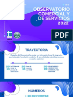 Observatorio Comercial Y de Servicios 2022: Relanzamiento Caracterización de Muestra