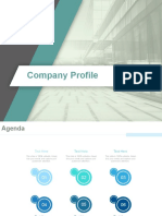 Company Profile Powerpoint Presentation Slides