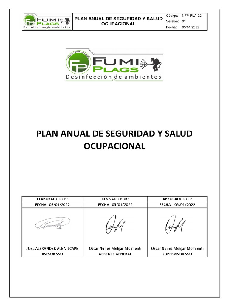 Plan Anual de Seguridad y Salud Ocupacional | PDF | Seguridad y salud ...