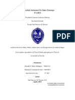 Tesis de Grado de Derecho Constitucional (Ninoska Hilario)