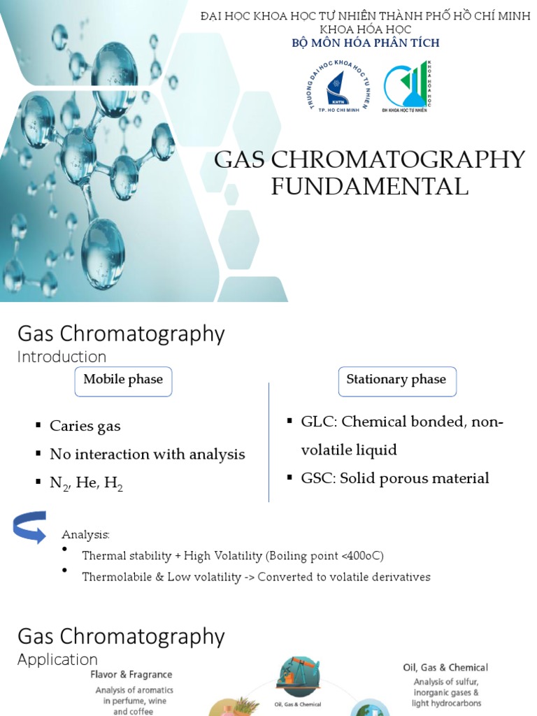 Gas Chromatography Fundamental Versv PDF Gas Chromatography