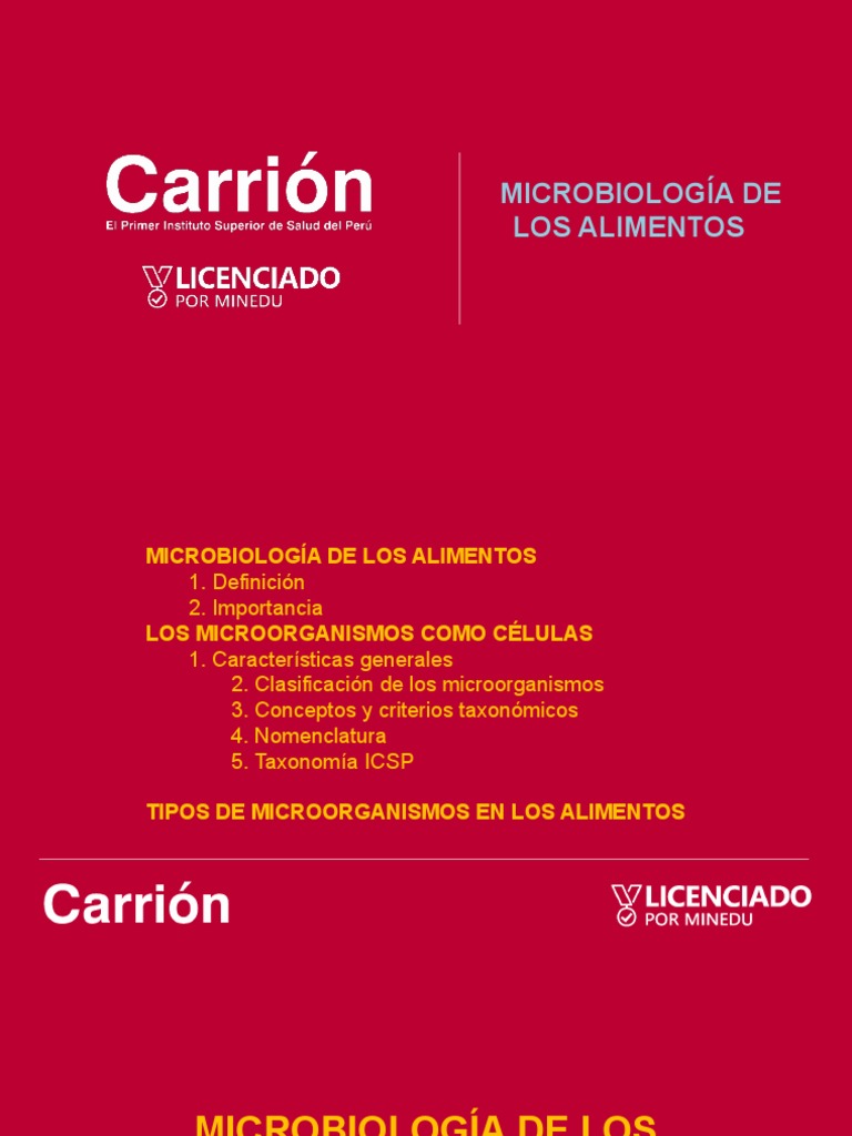 TEMA 1 Microbiologia de Los Alimentos | PDF | Microorganismo ...