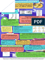 Infografía Inmovilizaciones para Miembro Superior e Inferior Camila Reyes