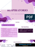 RESPIRATORIO