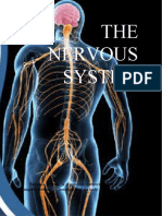 THE Nervous System: Nervous System Is A Complex Network That Transmit Nerves