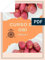 Apostila Curso de Obì