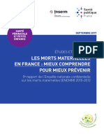 Rapport Morts Maternelles France Mieux Comprendre Mieux Prevenir