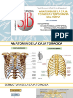 Anatomía Del Tórax y Topografía
