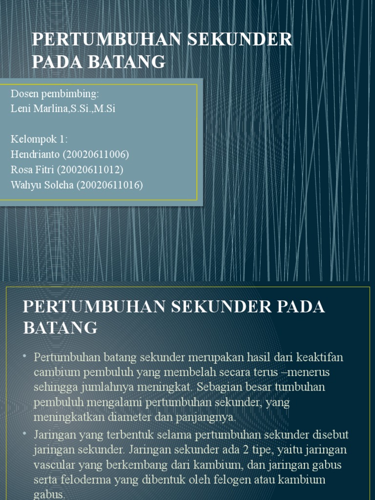 Pertumbuhan Sekunder pada Batang Tumbuhan | PDF