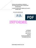 Informe de Instrumentos de Economia DyD 2