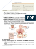 Sistema Endocrino en PDF