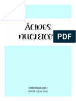 Ácidos Nucleicos2