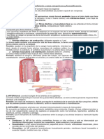 Vasos Sanguineos y Hemodinamia en PDF