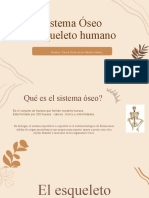 Exposición Biología Esqueleto Humano