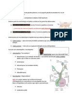 Clase 2 Endocrinologia