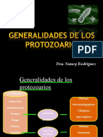 Generalidades de los protozoarios