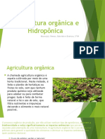 Agricultura Orgânica e Hidropônica