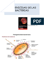 Mecanismo de Patogenicidad Bacteriano - 2022