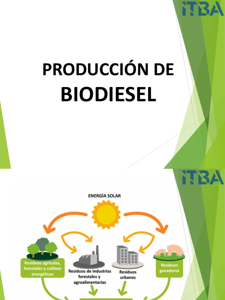 Producción y Ventajas del Biodiesel | PDF | Biodiésel | Biocombustible