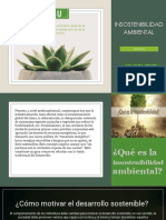 TEMA2 Insostenibilidad Ambiental