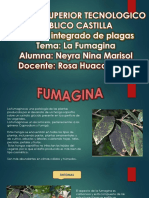 Tema de Exposicion Mip Fumagina