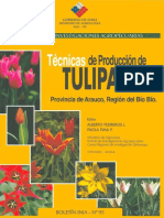 Introducción al cultivo del tulipán en Chile