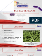Famílias Bacterianas