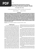 Download Analisis Kadar Pati Dan Serat Kasar Tepung Beberapa Kultivar Talas Colocasia Esculenta by lsastrowiyono SN58022592 doc pdf