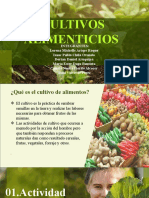 Cultivos Alimenticios