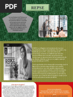 Guía para registrarse en el REPSE | PDF