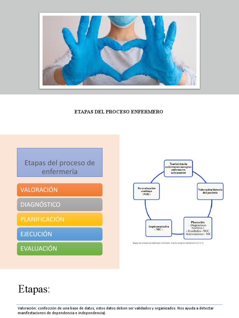 Etapas Proceso Enfermero PDF Evaluación Enfermería