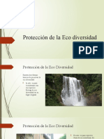 Protección de La Eco Diversidad