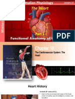 Functional Anatomy of The Heart