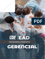 1 Desenvolvimento Gerencial (E-Book Completo)