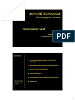 Micropropagación Comercial 2022