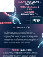 Acidos Nucleicos y ARN TE