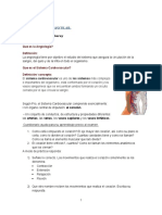 Sistema Cardiovascular