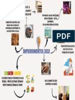 Mapa de Prospectiva Cipa2