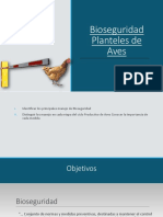 Clase 11 Bioseguridad Aves